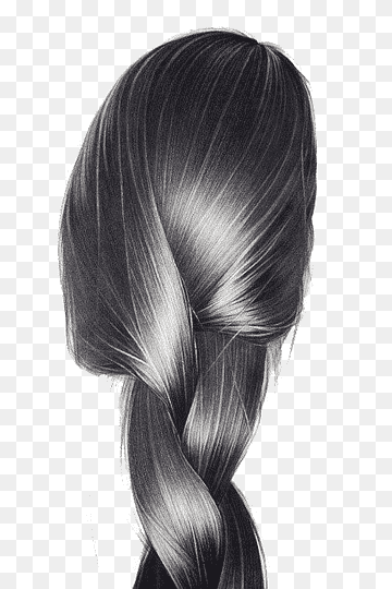 Realistic black-and-white pencil drawing of a long, glossy braided hairstyle viewed from behind.