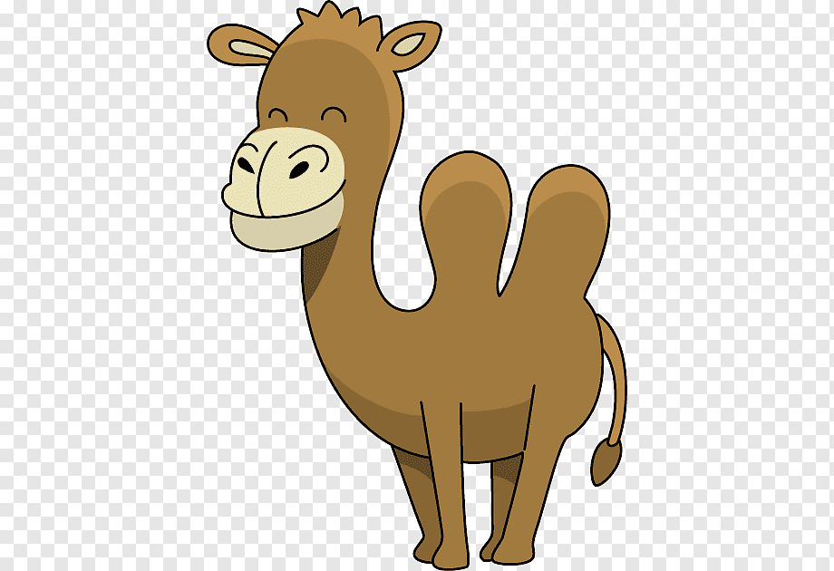 Cute Cartoon Camel Illustration - Free PNG Download