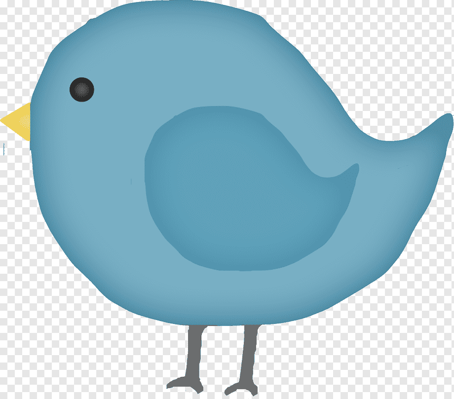 Blue cartoon bird with yellow beak and black eye, standing on gray legs against transparent background.