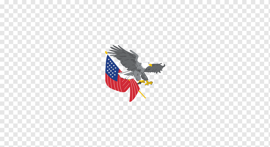 Bald eagle clutching a folded American flag, symbolizing patriotism and national pride.