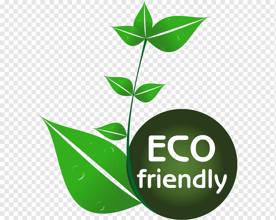 Green leafy plant with dew drops and "ECO friendly" circular badge on transparent background.