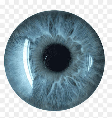 Close-up of a vivid blue human eye with intricate iris patterns and clear corneal reflections.