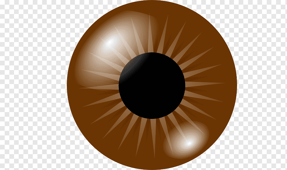 Realistic brown human eye with black pupil, radial iris patterns, and light reflections on a transparent background.