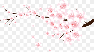 Cherry Blossom Clipart - Free PNG for Spring Design Projects