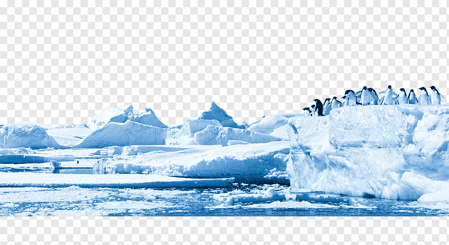 A group of penguins standing atop a jagged ice floe in a polar sea with scattered icebergs under bright daylight.