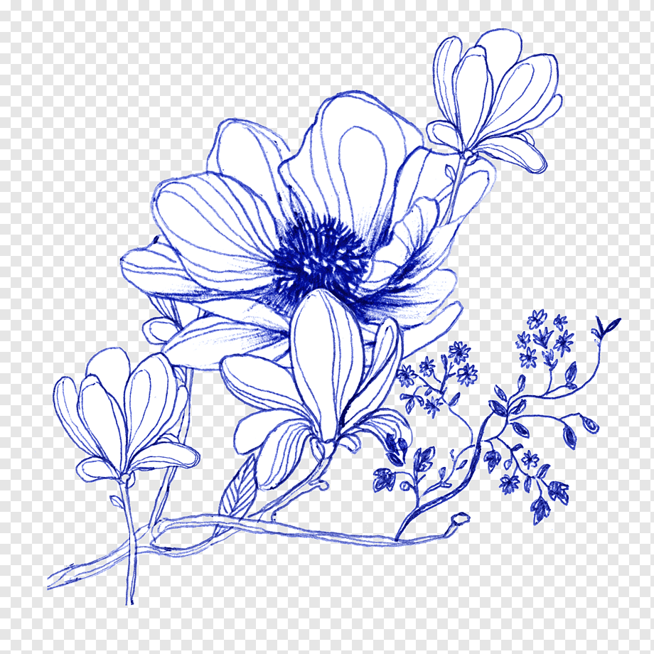 Blue ink botanical illustration of anemone and magnolia flowers with delicate stems and leaves on transparent background.