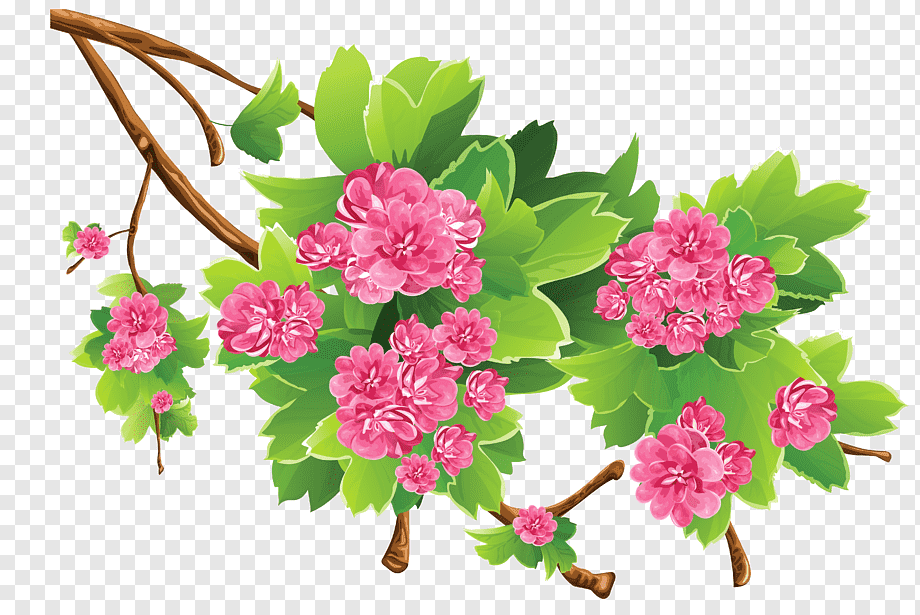 Pink flowering branch with vibrant green leaves on transparent background