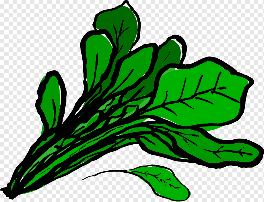 Fresh Leafy Greens Illustration - Free PNG Clipart for Health & Cooking Sites