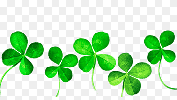 Four-Leaf Clover PNG Image - Free Transparent Clipart for Luck & Celebrations