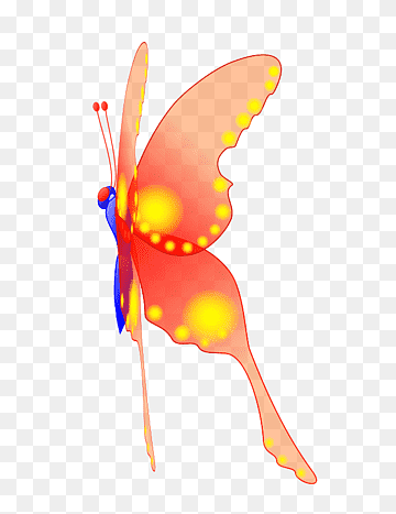 Vibrant orange and yellow butterfly with blue body and dotted wing edges, illustrated on transparent background.
