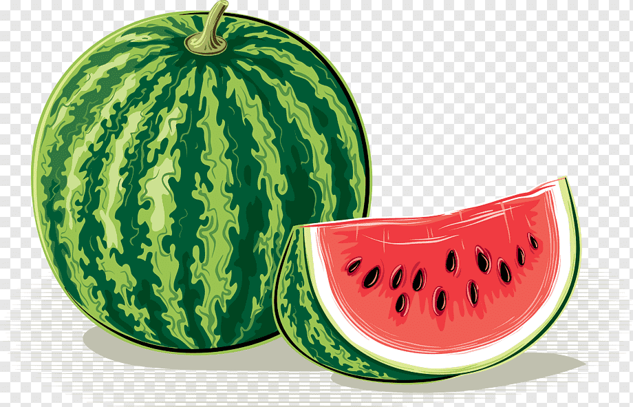 Watercolor Watermelon Clipart Set Summer Juicy Watermelons Dessert By