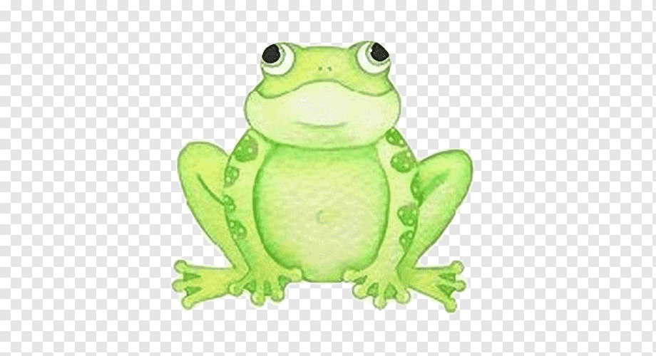 Friendly green cartoon frog sitting upright with big eyes and spotted limbs on transparent background.
