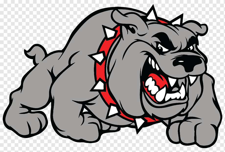 Aggressive gray bulldog mascot wearing a red spiked collar, snarling with bared teeth and intense eyes.