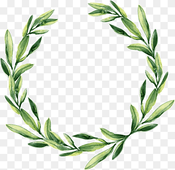 Watercolor olive wreath with green leaves forming a circular frame on transparent background.