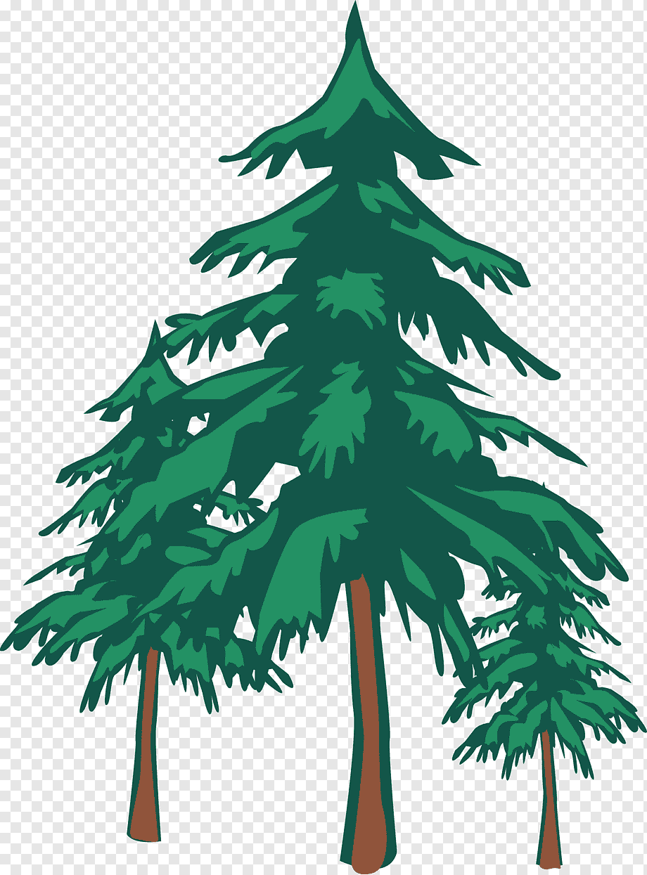 Three stylized green evergreen trees with brown trunks on transparent background.