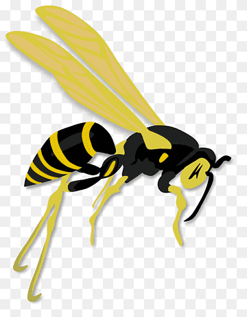 Stylized illustration of a yellow-and-black wasp with transparent background, showing wings, segmented body, and antennae.