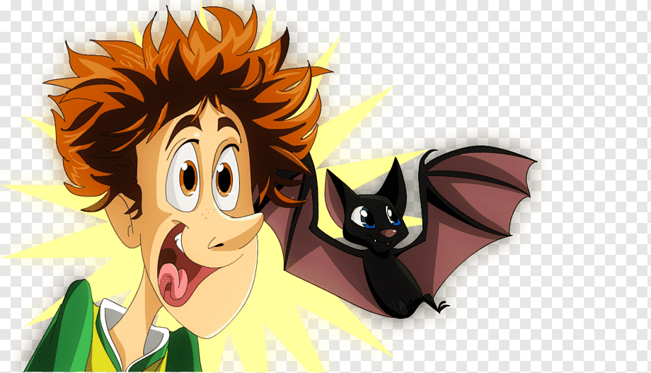 Cartoon Boy and Bat Adventure - Fun Animated Character Pair