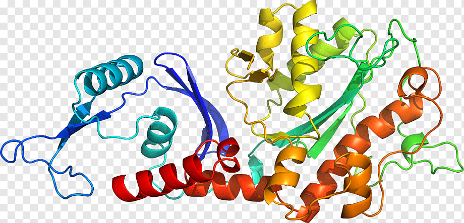 3D ribbon diagram of a multi-domain protein structure with alpha-helices and beta-sheets in vibrant colors.