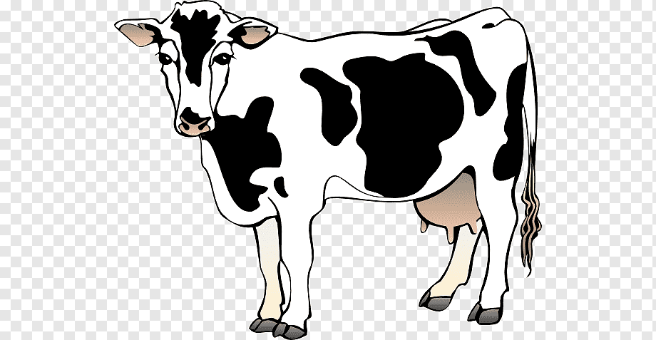 190+ Scared Cartoon Cow Illustrations, Royalty-Free Vector - Clip Art ...