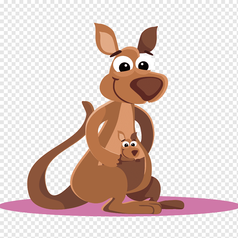 mother kangaroos