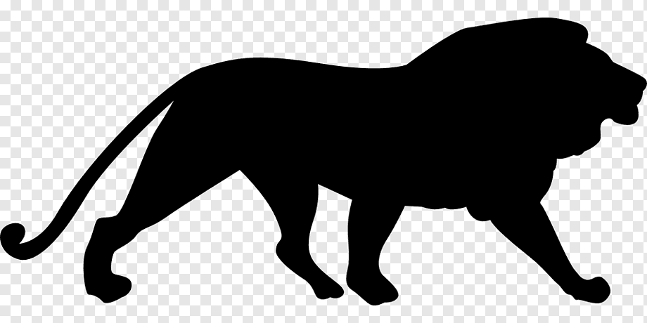 Black silhouette of a walking male lion with full mane, side profile on transparent background.