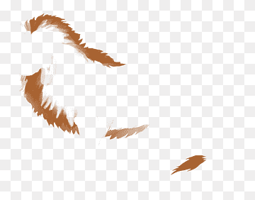 Abstract brown brushstroke artwork on transparent background, evoking motion and texture.