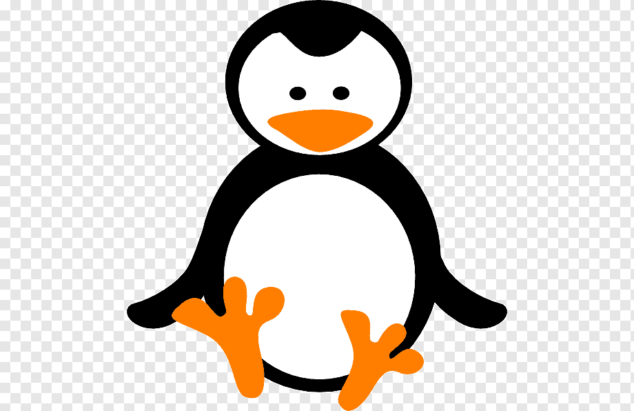 Cute cartoon penguin with black and white body, orange beak and feet, sitting upright on transparent background.