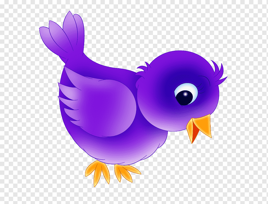 Cute purple cartoon bird with large blue eye, orange beak and feet, on transparent background.