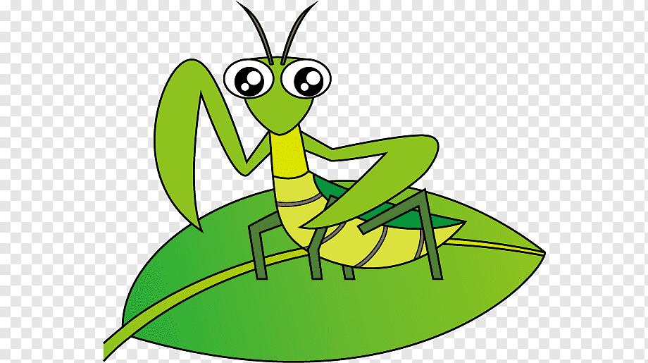 Cartoon green praying mantis with big eyes sitting on a leaf.