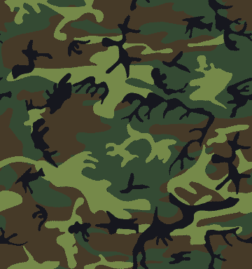 Camouflage Pattern Image - Military Green & Brown Woodland Design