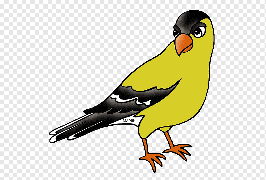 Yellow Finch Cartoon Illustration - Free PNG Clipart