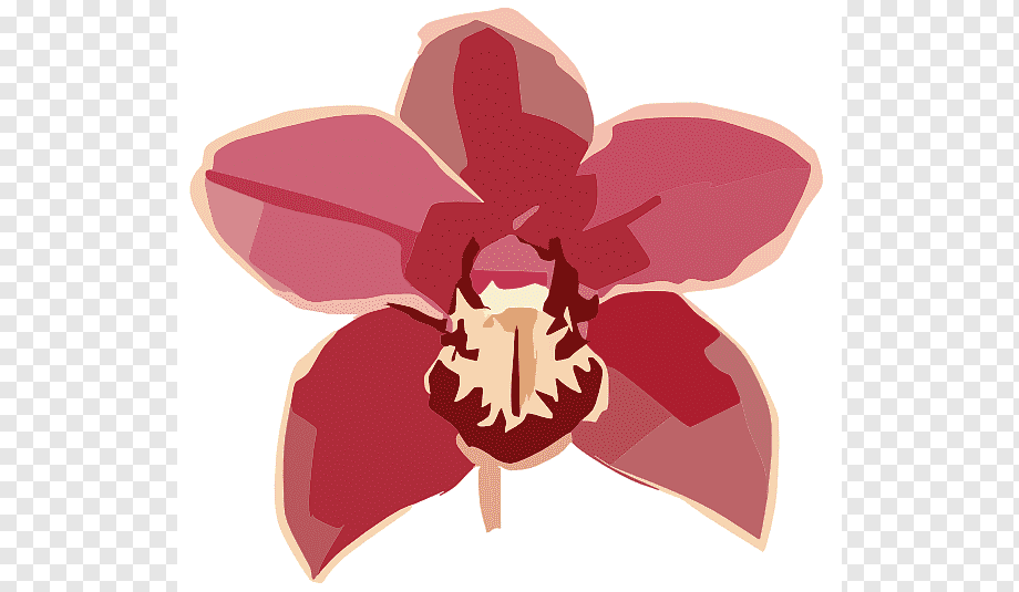 Stylized red orchid flower with layered petals and textured center on transparent background.