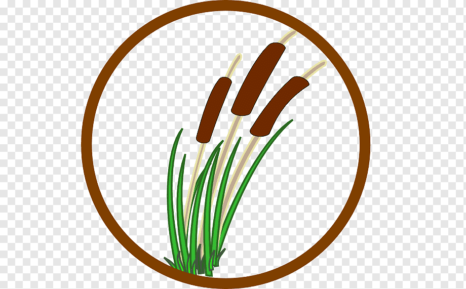 Circular logo featuring three brown cattail seed heads with green stalks inside a brown ring.