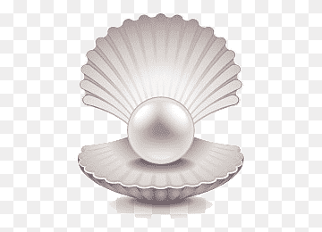 A luminous pearl nestled inside an open seashell with delicate ridges and soft shading.