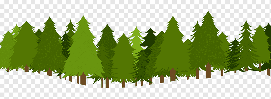 A row of stylized green pine trees with brown trunks on a transparent background.