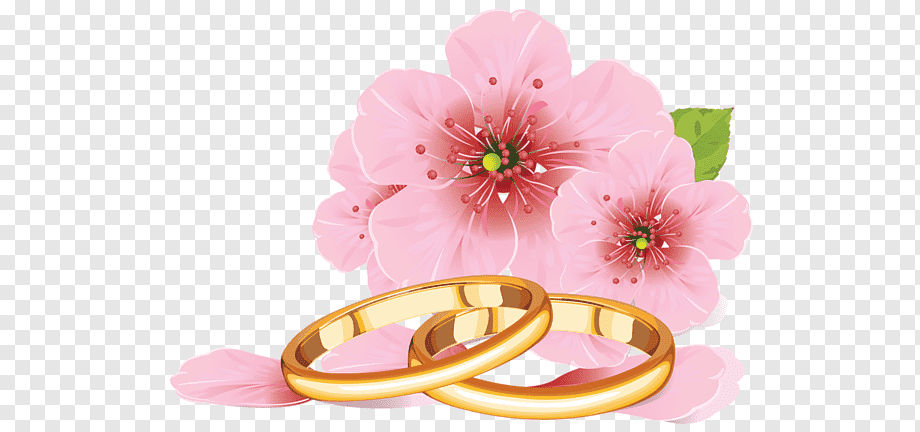 Wedding Ring Silhouette Png 2024 | favors.com