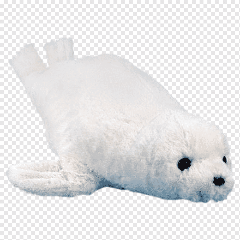 snow seals - Clip Art Library