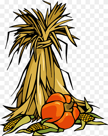 A cartoon-style harvest display featuring a tied sheaf of wheat, orange pumpkin, and ears of corn on a transparent background.