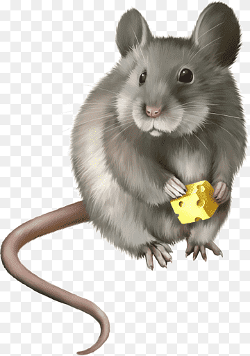 Gray cartoon mouse holding a wedge of yellow cheese with holes, standing upright on hind legs.