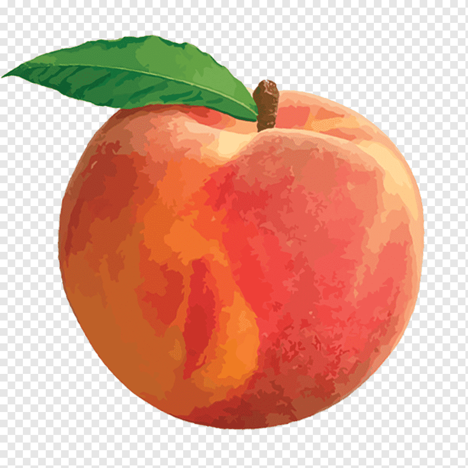 Fresh Ripe Peach Illustration - High-Quality Digital Asset