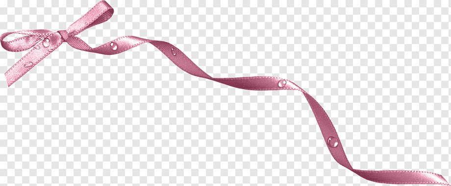 Delicate pink satin ribbon with dewdrops, tied in a bow, on transparent background.