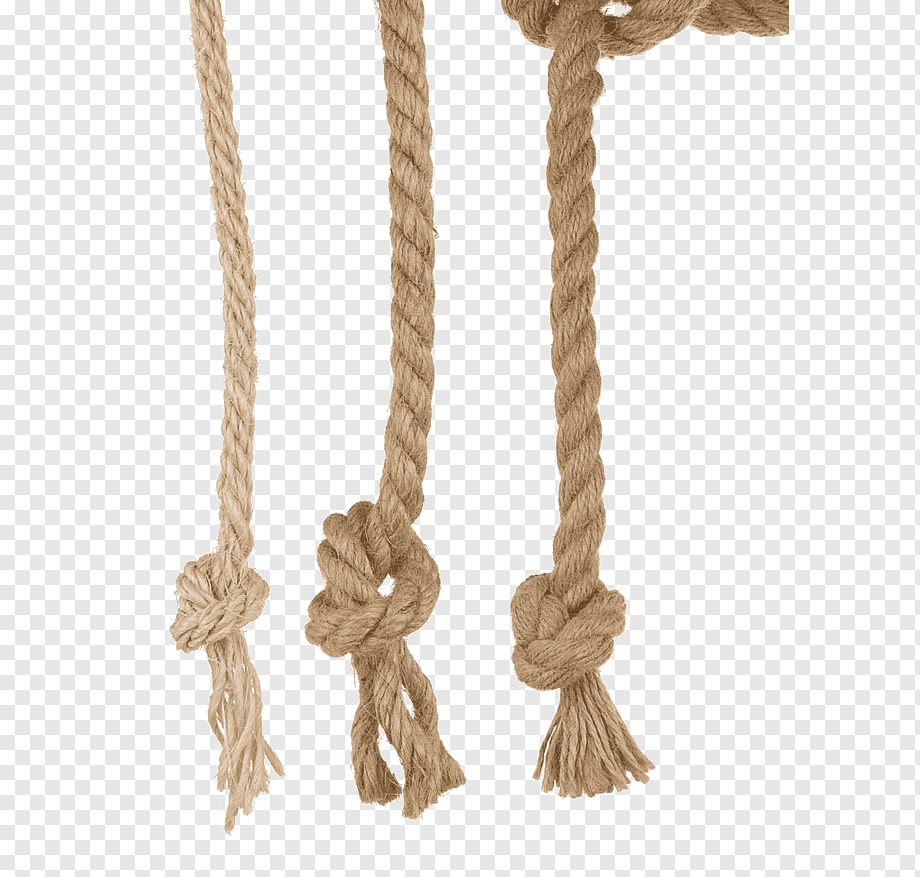 Three strands of natural fiber rope with different knots and frayed ends on transparent background.