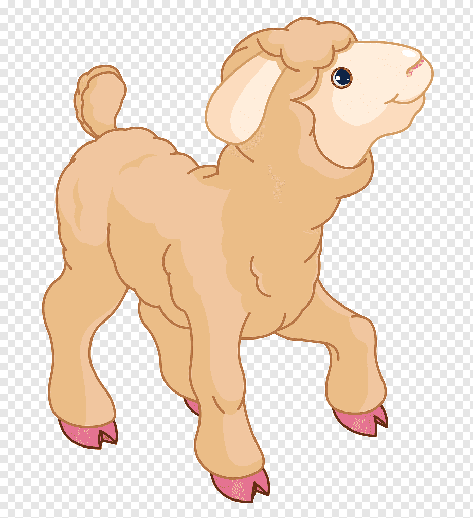 Cute cartoon lamb with fluffy beige wool, pink hooves, and a cheerful expression, standing on transparent background.