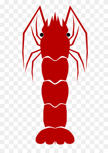 Stylized red lobster illustration with segmented body, antennae, and claws on transparent background.