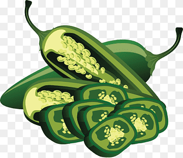 Sliced and whole green chili peppers with visible seeds, illustrated in vibrant detail.