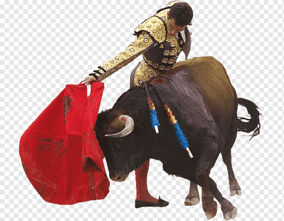 Matador in ornate gold suit performing a pass with red cape as bull charges, with banderillas in its back.