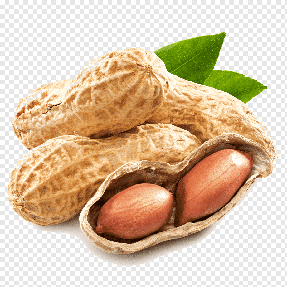 Fresh peanuts in shell with two green leaves, one pod open revealing two reddish-brown kernels.