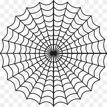 Symmetrical black-and-white spiderweb illustration with radial and concentric lines on transparent background.