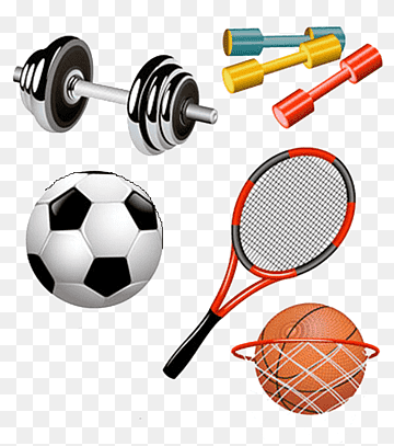 Sports Equipment Icons - Fitness & Recreation Gear Visual Guide