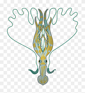 Stylized illustration of a squid with ornate yellow and teal patterns, wavy tentacles, and expressive eyes on transparent background.